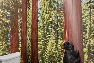 14286 Clover Ave, Cedar Lake, IN 46303 - Photo 18