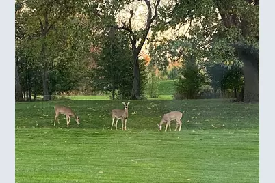 4901 Oriole Avenue, Schererville, IN 46375 - Photo 14