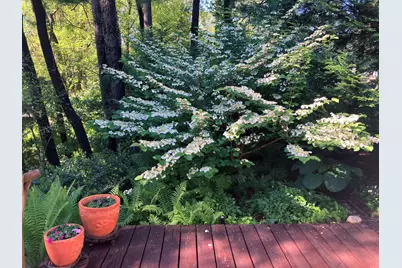 49 Aspen Road, Ogden Dunes, IN 46368 - Photo 32