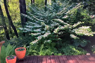 49 Aspen Rd, Ogden Dunes, IN 46368 - Photo 32