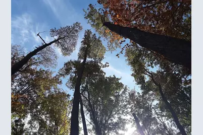 9 Blackberry Trail, Michigan City, IN 46360 - Photo 4