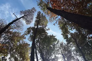 9 Blackberry Trail, Michigan City, IN 46360 - Photo 4