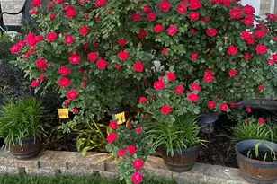 1521 Birdie Way, Chesterton, IN 46304 - Photo 4