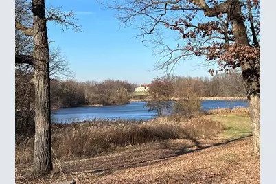 11217 Burr Parcel 2 Street, Crown Point, IN 46307 - Photo 1