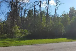 3029 Nelson Ln, Wheatfield, IN 46392 - Photo 1