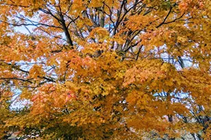 1220 Dogwood Dr, Chesterton, IN 46304 - Photo 2