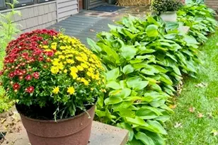 202 Oakridge Ct, Valparaiso, IN 46385 - Photo 40