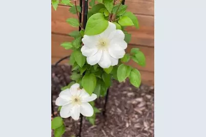 201 Will Street, Kouts, IN 46347 - Photo 36