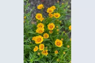 201 Will Street, Kouts, IN 46347 - Photo 34