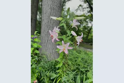 203 Oakridge Court, Valparaiso, IN 46385 - Photo 40