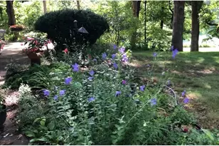 203 Oakridge Ct, Valparaiso, IN 46385 - Photo 46