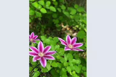 203 Oakridge Court, Valparaiso, IN 46385 - Photo 44