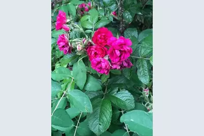 203 Oakridge Court, Valparaiso, IN 46385 - Photo 42