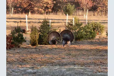 9588 E 650 N, Walkerton, IN 46574 - Photo 28