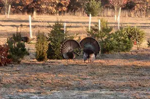 9588 E 650 N, Walkerton, IN 46574 - Photo 28