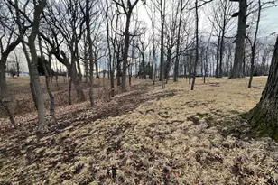 12850 W 102nd St, Saint John, IN 46373 - Photo 8