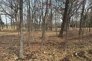 12850 W 102nd St, Saint John, IN 46373 - Photo 6