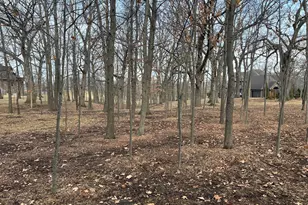 12850 W 102nd St, Saint John, IN 46373 - Photo 1