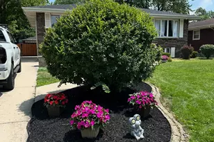 8027 Kooy Dr, Munster, IN 46321 - Photo 2