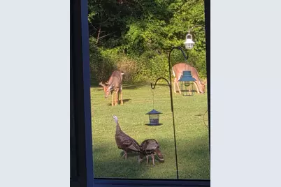 14376 W 185th Avenue, Lowell, IN 46356 - Photo 58