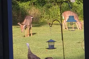 14376 W 185th Ave, Lowell, IN 46356 - Photo 58