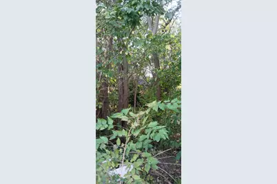 2345 E 21st Avenue, Gary, IN 46407 - Photo 4