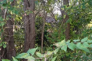 2345 E 21st Ave, Gary, IN 46407 - Photo 4