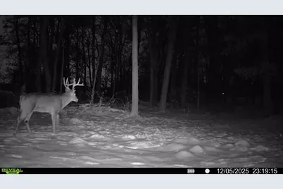 772 W 900 S, Hebron, IN 46341 - Photo 42