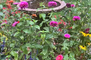 10030 Eagle Ct, Demotte, IN 46310 - Photo 38