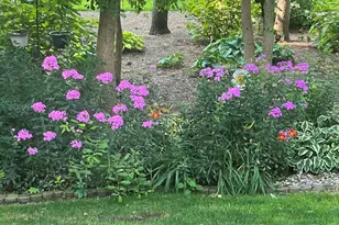 10030 Eagle Ct, Demotte, IN 46310 - Photo 34