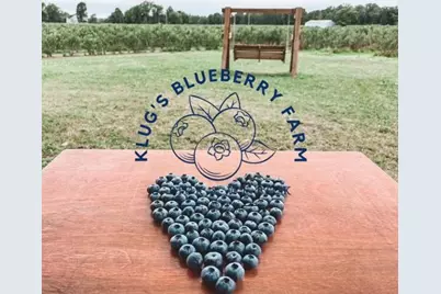 0 E River Road, Buchanan, MI 49107 - Photo 50