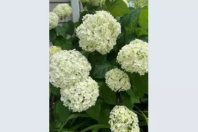 7315 Taney Place, Merrillville, IN 46410 - Photo 24