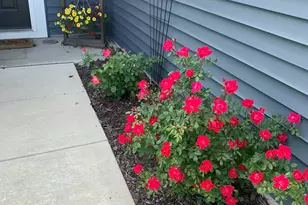 6273 Glenbrook Ave, Portage, IN 46368 - Photo 20