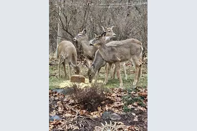 11606 Westvalley Drive, Crown Point, IN 46307 - Photo 36