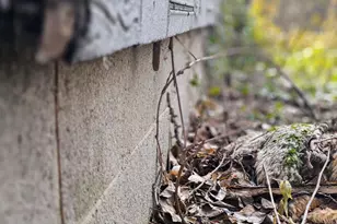 2208 Nichols Pl, Gary, IN 46407 - Photo 2