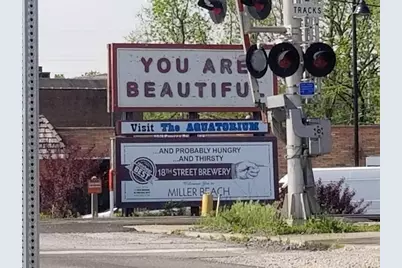 7325 Locust Avenue, Gary, IN 46403 - Photo 136