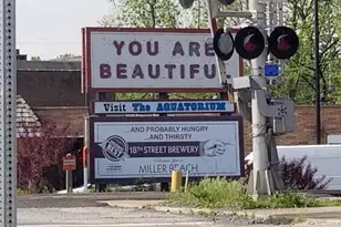 7325 Locust Ave, Gary, IN 46403 - Photo 136