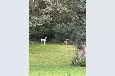 216 E 1050 N, Chesterton, IN 46304 - Photo 80