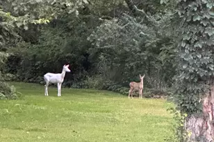 216 E 1050 N, Chesterton, IN 46304 - Photo 80