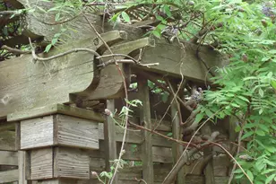 8913 22nd St SW, Demotte, IN 46310 - Photo 36