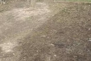 2412 Bramble Way, Anderson, IN 46011 - Photo 10