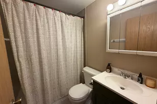 17710 Holtz Rd, Lowell, IN 46356 - Photo 10