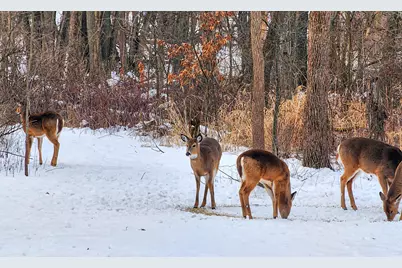 6205 W 177th Avenue, Lowell, IN 46356 - Photo 54