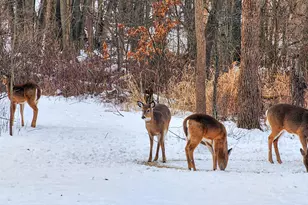 6205 W 177th Ave, Lowell, IN 46356 - Photo 54