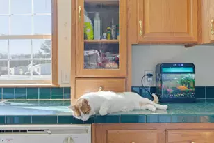 4827 E 994 N, Demotte, IN 46310 - Photo 20