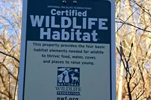 8400 Forest Ave, Gary, IN 46403 - Photo 28