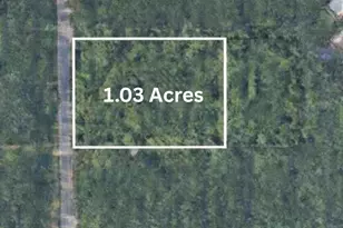 Tbd Union Ave, Chesterton, IN 46304 - Photo 1