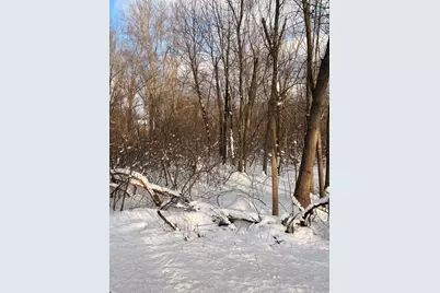 Tbd Union Avenue, Chesterton, IN 46304 - Photo 2