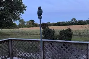 16393 Hendricks St, Lowell, IN 46356 - Photo 4