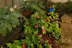 7683 N 1200 W, Fair Oaks, IN 47943 - Photo 42